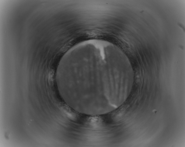 X0000091350275200708311522