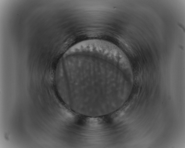 X0000091350277200708311522