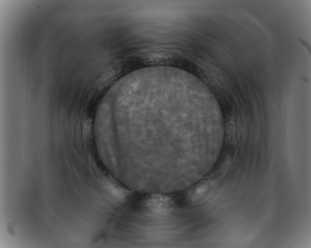 X0000091350278200708311522
