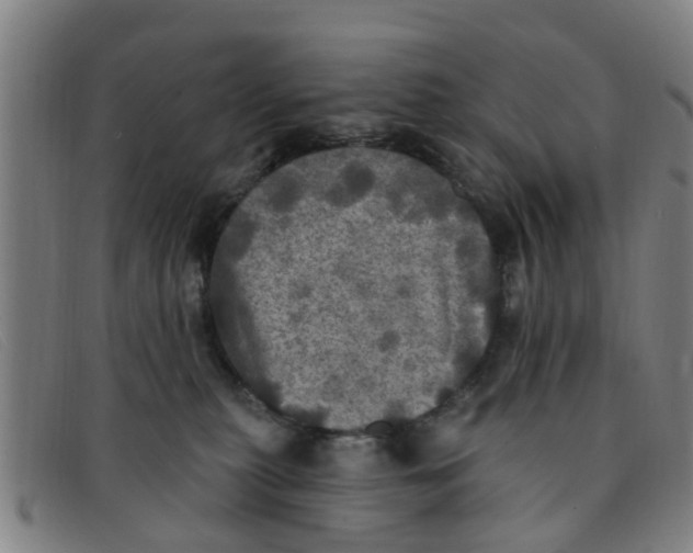 X0000091350279200708311522