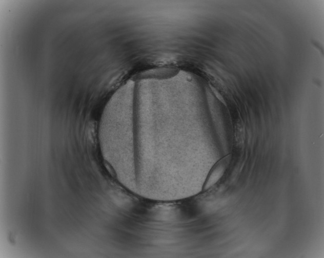 X0000091350280200708311522