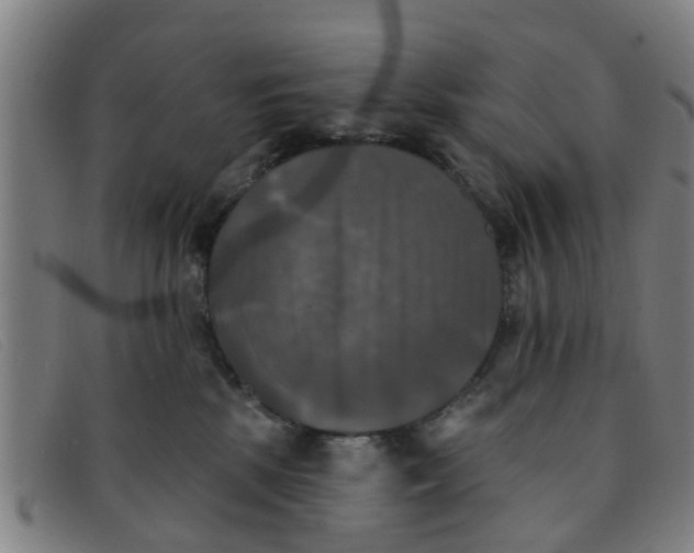 X0000091350281200708311522
