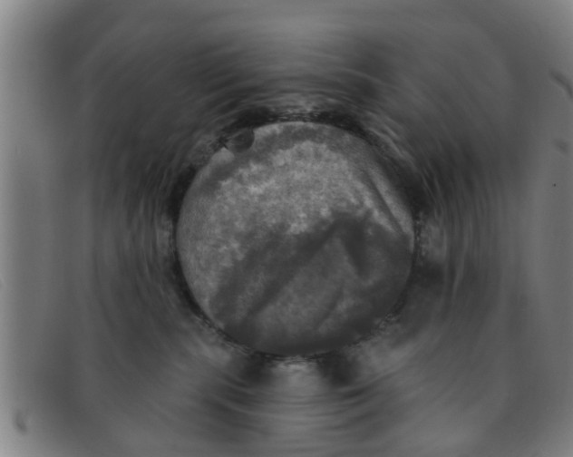 X0000091350283200708311522