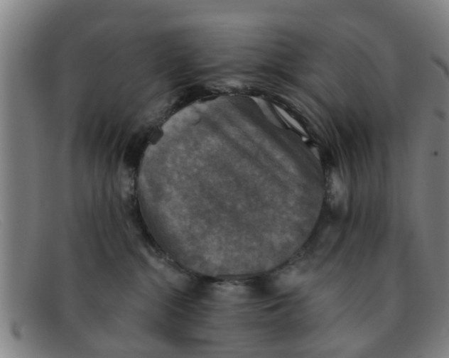 X0000091350284200708311522