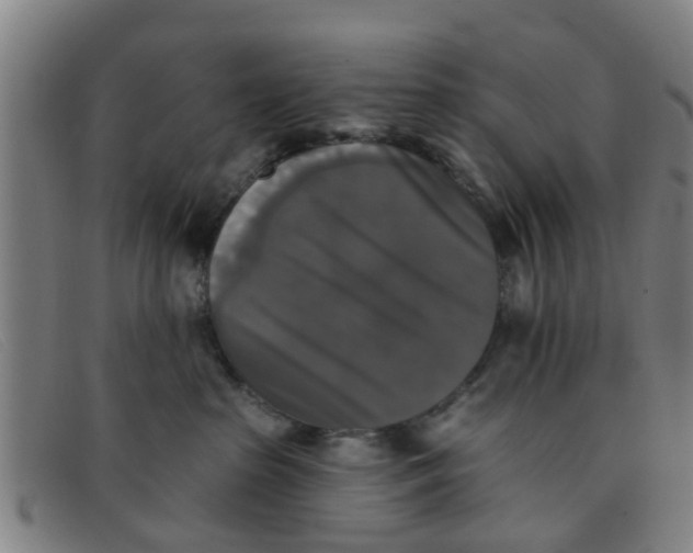 X0000091350285200708311522