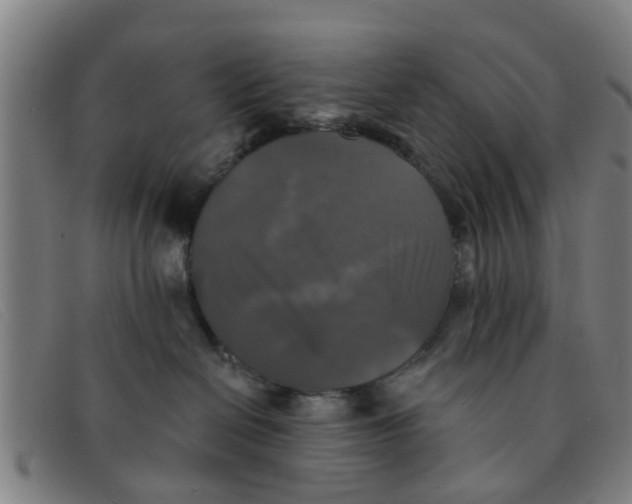 X0000091350286200708311522