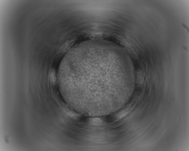 X0000091350287200708311522