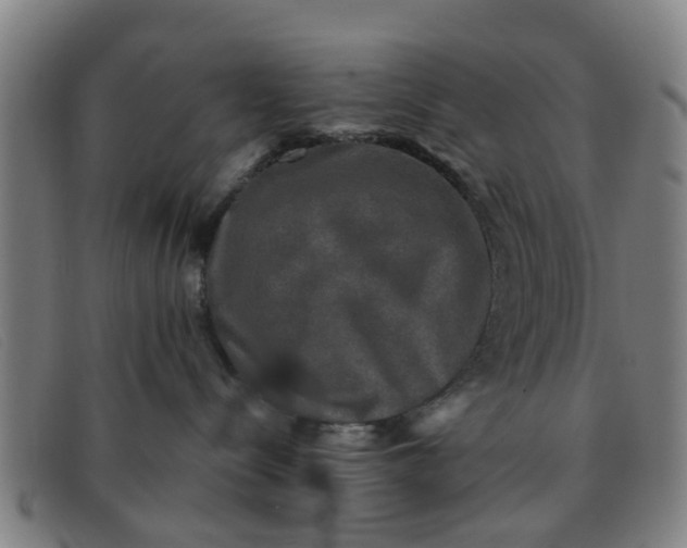 X0000091350288200708311522