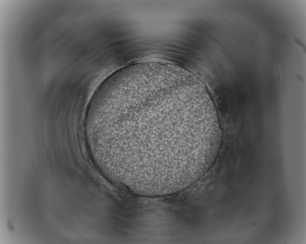 X0000091350289200708311522