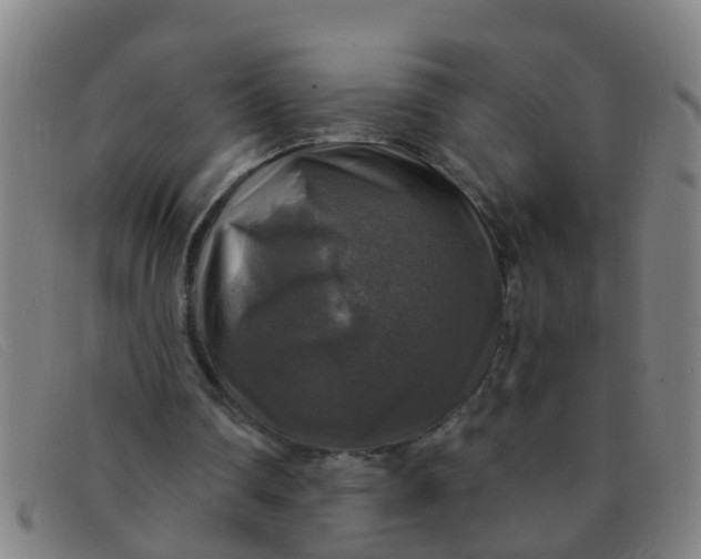 X0000091350290200708311522