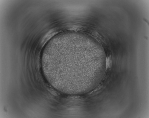 X0000091350291200708311522