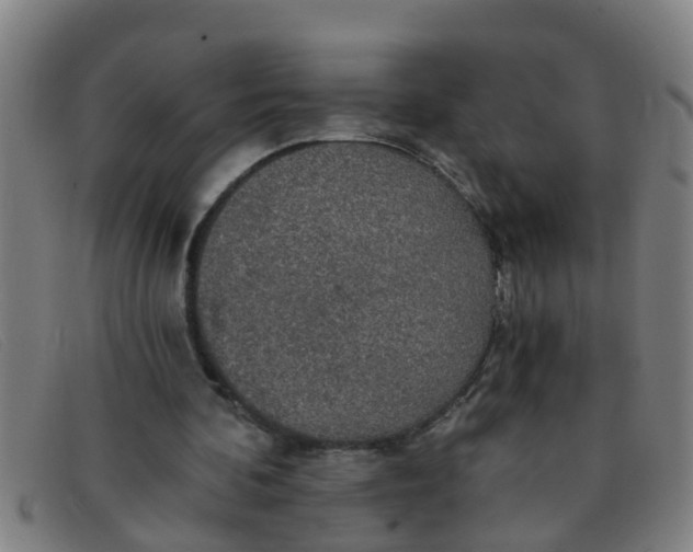 X0000091350292200708311522