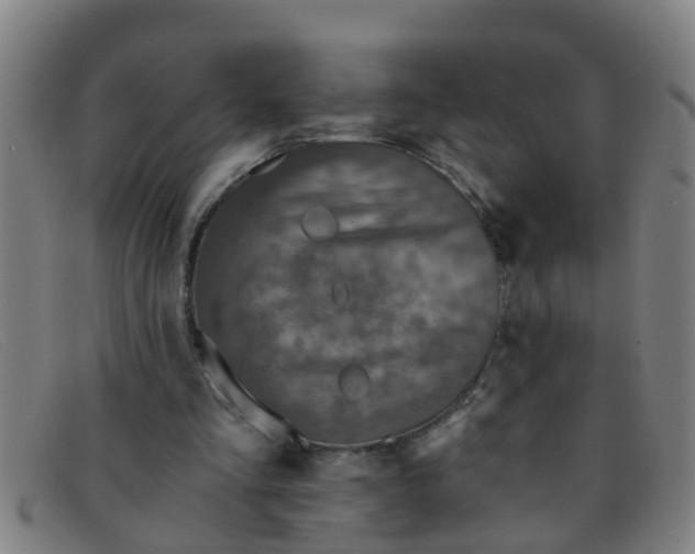 X0000091350293200708311522