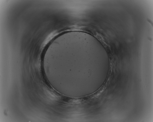 X0000091350295200708311522