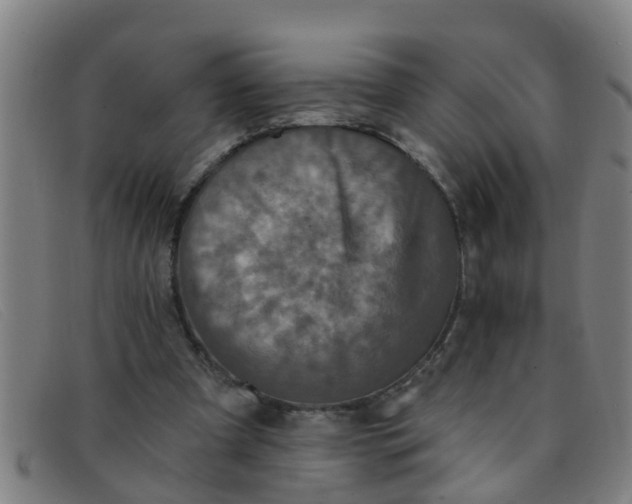 X0000091350297200708311521