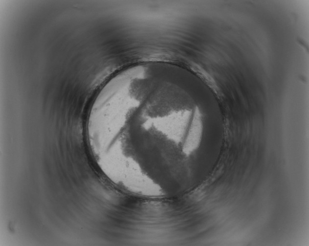 X0000091350298200708311521