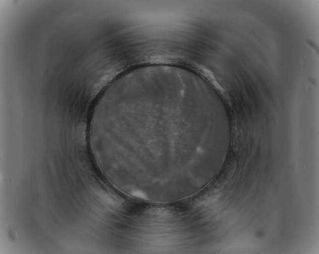 X0000091350299200708311521