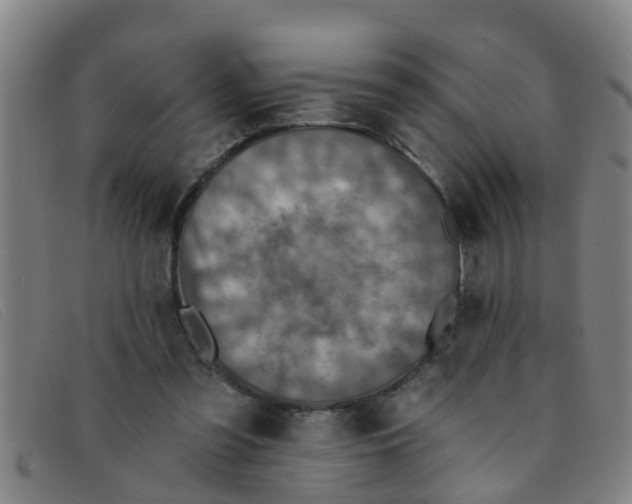 X0000091350301200708311521