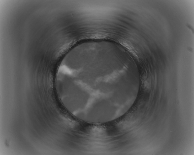 X0000091350303200708311521