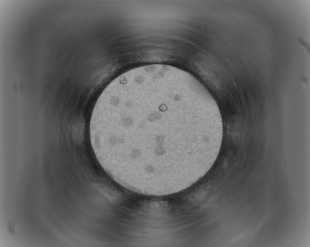 X0000091350304200708311521