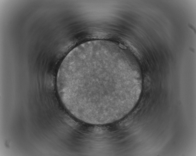 X0000091350305200708311521