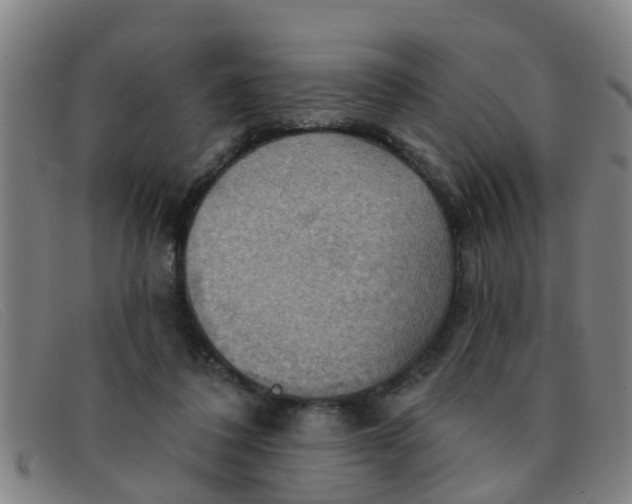 X0000091350308200708311521