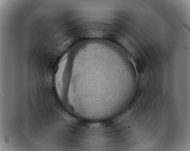 X0000091350309200708311521