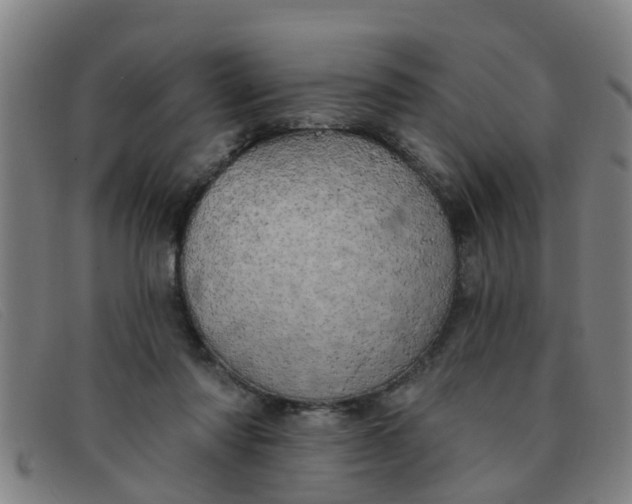 X0000091350310200708311521