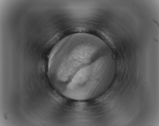 X0000091350313200708311521