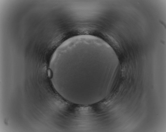 X0000091350314200708311521