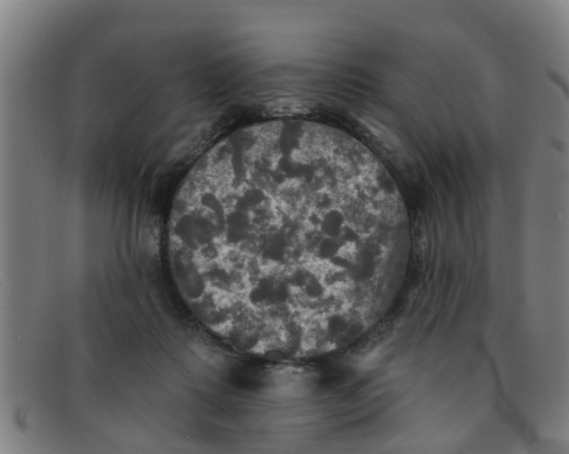 X0000091350315200708311521