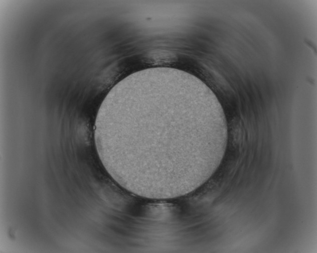 X0000091350316200708311521