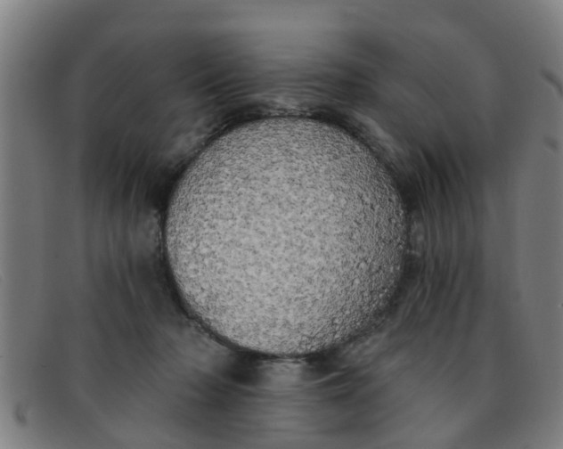 X0000091350318200708311521