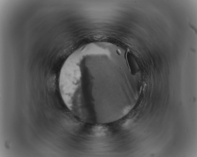 X0000091350319200708311521