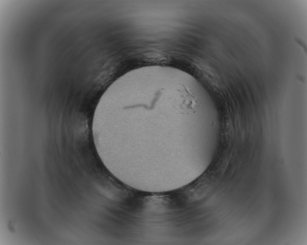 X0000091350320200708311521
