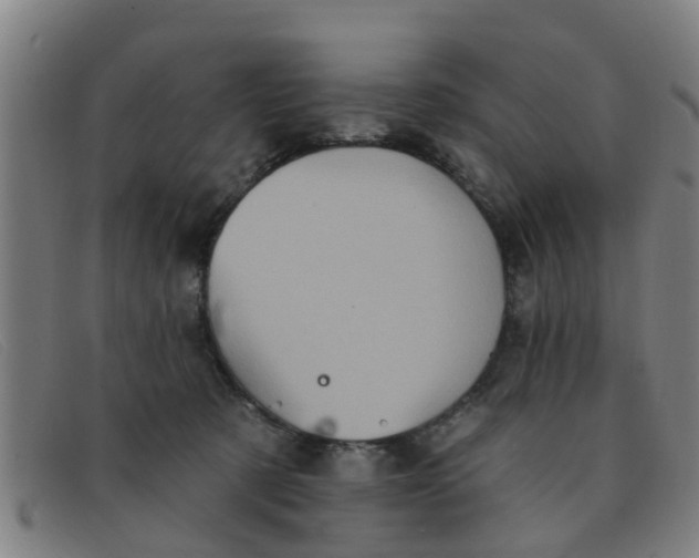 X0000091350321200708311521