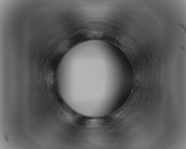 X0000091350323200708311521