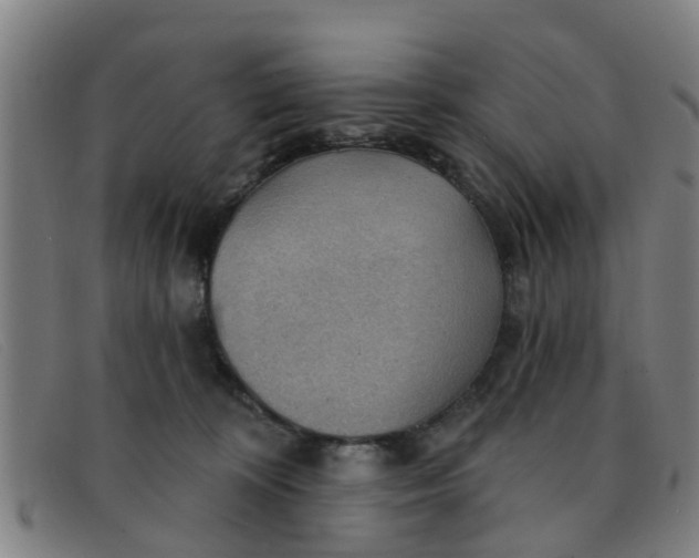 X0000091350324200708311521