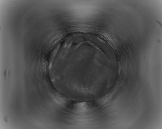 X0000091350325200708311521