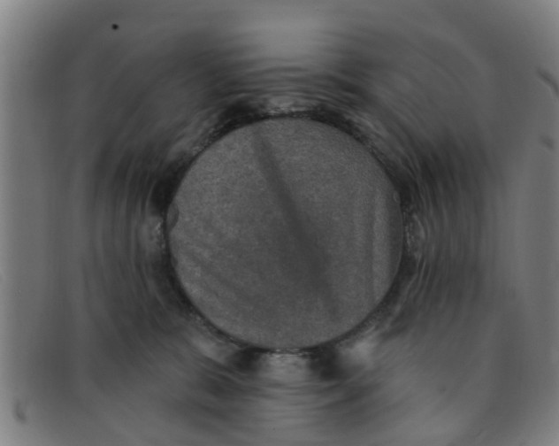 X0000091350327200708311521