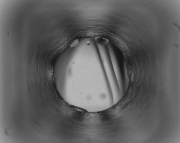 X0000091350329200708311521