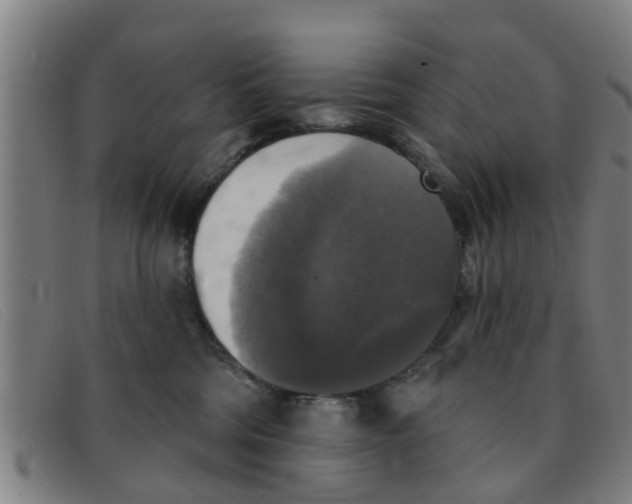 X0000091350330200708311521