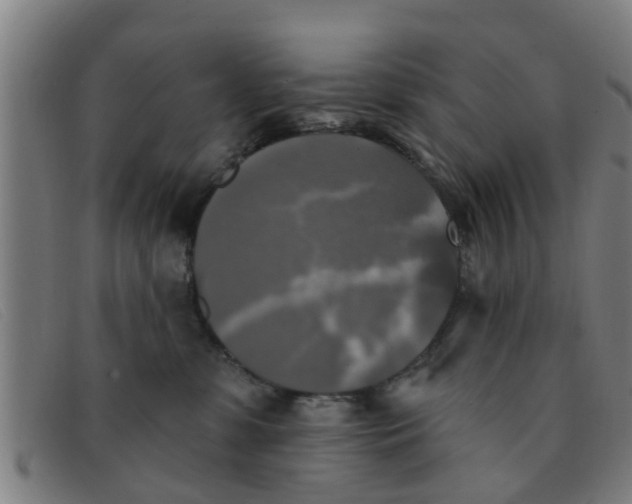 X0000091350331200708311521