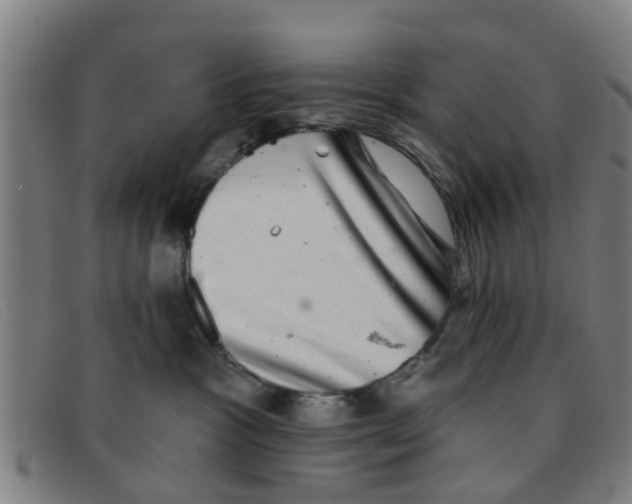 X0000091350333200708311521