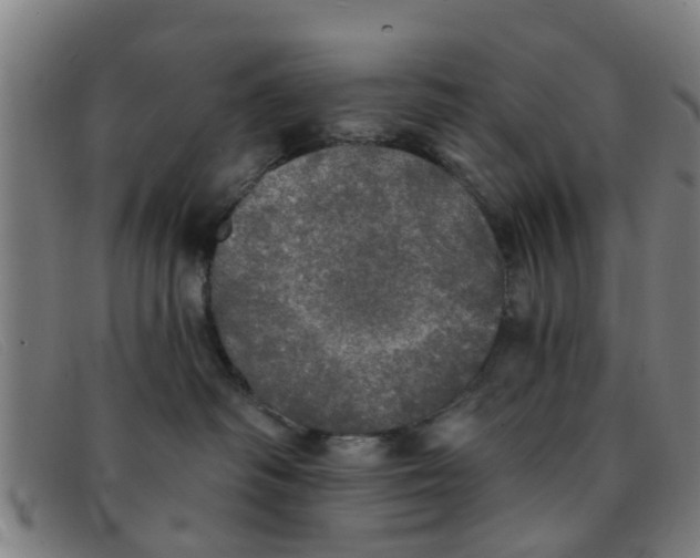 X0000091350334200708311521