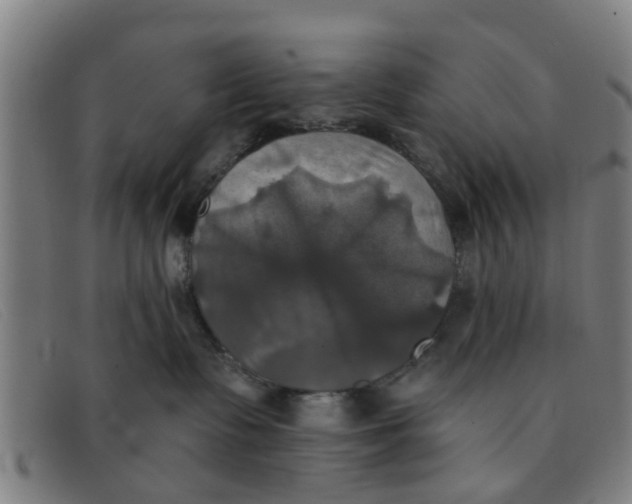 X0000091350335200708311521