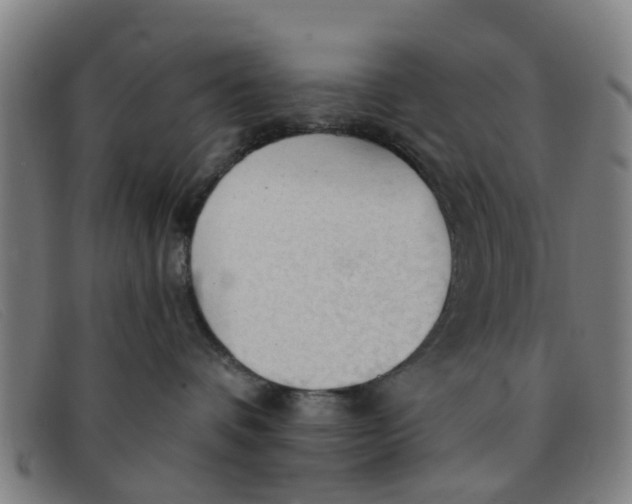 X0000091350336200708311521