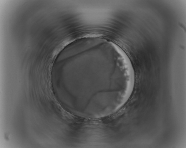 X0000091350337200708311520