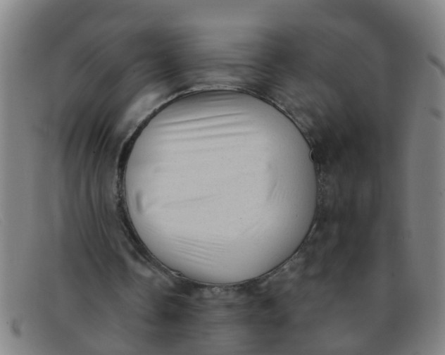 X0000091350338200708311520