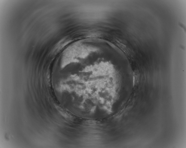 X0000091350339200708311520